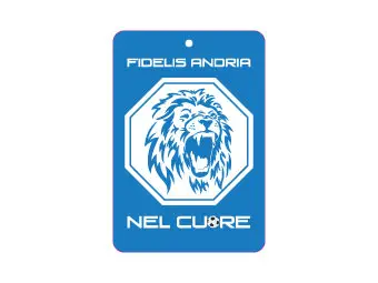 Exemplo de ambientador de carro personalizado número:1292